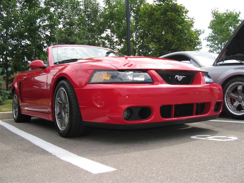 Name:  IMG_3413Medium.jpg
Views: 43
Size:  95.7 KB