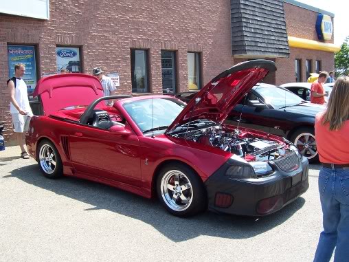 Name:  steeda044.jpg
Views: 20
Size:  61.5 KB