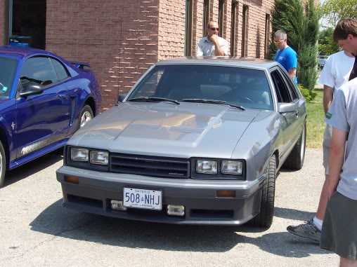 Name:  steeda036.jpg
Views: 15
Size:  54.2 KB