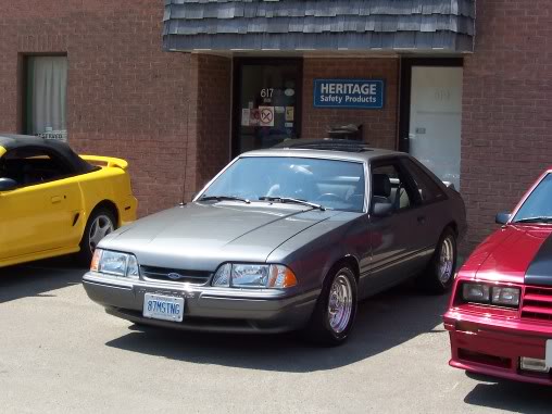 Name: steeda016.jpg
Views: 13
Size: 40.6 KB