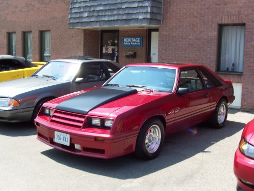 Name: steeda015.jpg
Views: 14
Size: 40.9 KB