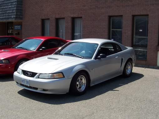 Name: steeda013.jpg
Views: 15
Size: 40.8 KB