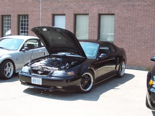 Name:  steeda022.jpg
Views: 51
Size:  45.4 KB