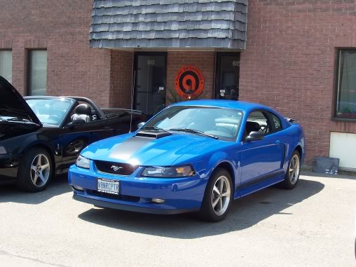 Name:  steeda020.jpg
Views: 55
Size:  46.0 KB