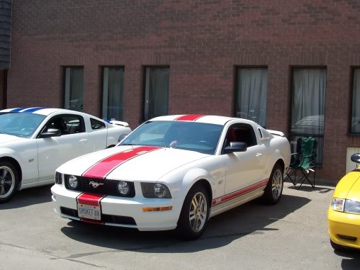 Name:  steeda018.jpg
Views: 51
Size:  38.6 KB