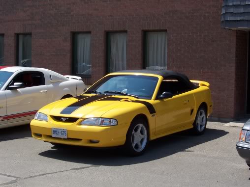 Name:  steeda017.jpg
Views: 66
Size:  36.0 KB