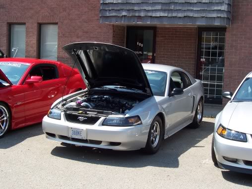 Name:  steeda026.jpg
Views: 59
Size:  49.3 KB