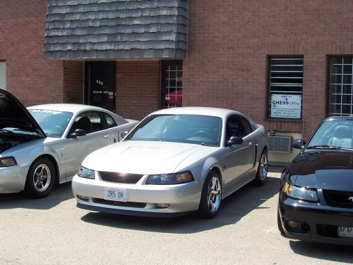 Name:  steeda025.jpg
Views: 57
Size:  46.8 KB