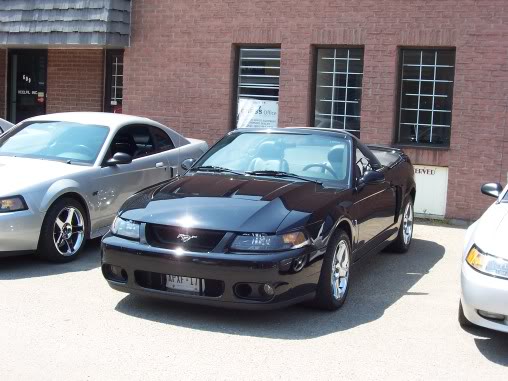 Name:  steeda024.jpg
Views: 57
Size:  46.5 KB