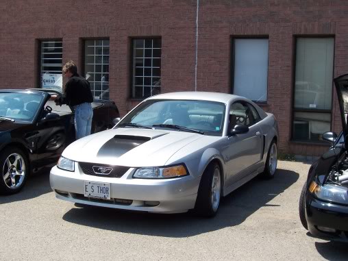 Name:  steeda023.jpg
Views: 41
Size:  44.2 KB