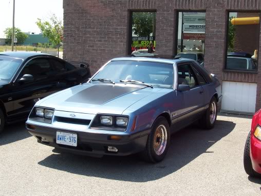 Name:  steeda033.jpg
Views: 39
Size:  49.1 KB