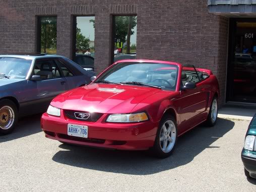 Name:  steeda032.jpg
Views: 49
Size:  49.2 KB