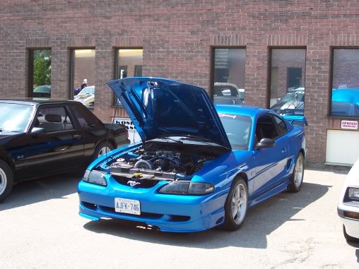 Name:  steeda029.jpg
Views: 43
Size:  50.5 KB