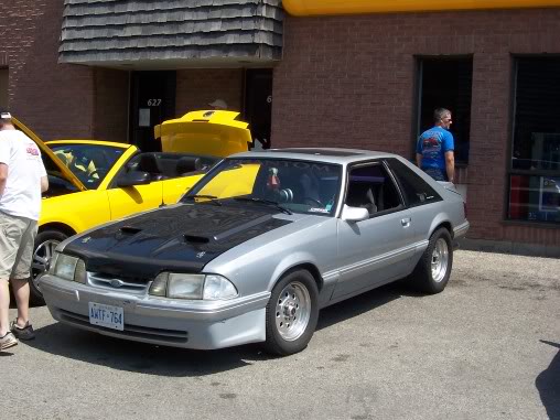 Name:  steeda038.jpg
Views: 44
Size:  48.0 KB