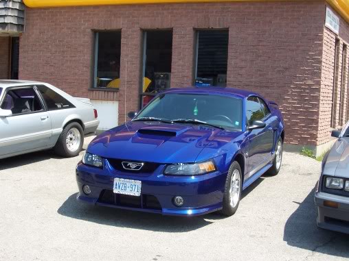 Name:  steeda037.jpg
Views: 51
Size:  48.7 KB