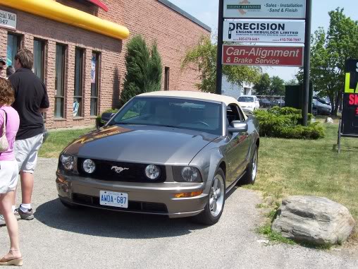 Name:  steeda035.jpg
Views: 50
Size:  65.6 KB