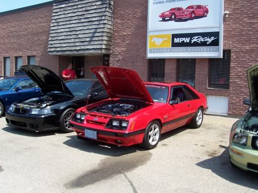 Name:  steeda046.jpg
Views: 71
Size:  59.4 KB