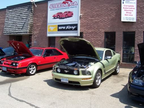 Name:  steeda045.jpg
Views: 54
Size:  59.5 KB