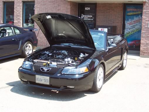 Name:  steeda043.jpg
Views: 47
Size:  47.5 KB