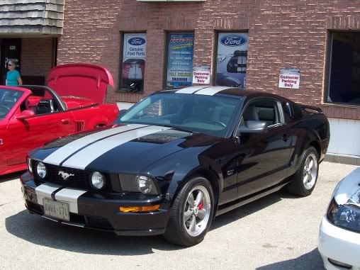 Name:  steeda042.jpg
Views: 54
Size:  55.1 KB