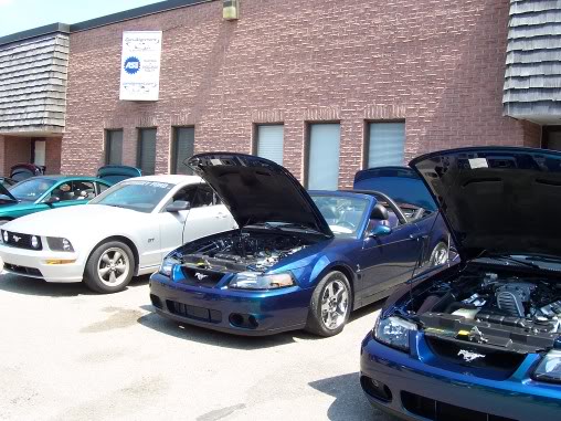 Name:  steeda050.jpg
Views: 66
Size:  59.3 KB