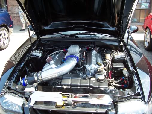 Name:  steeda048.jpg
Views: 40
Size:  59.9 KB