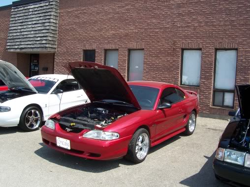 Name:  steeda058.jpg
Views: 79
Size:  58.0 KB