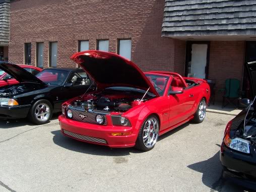 Name:  steeda056.jpg
Views: 81
Size:  55.5 KB