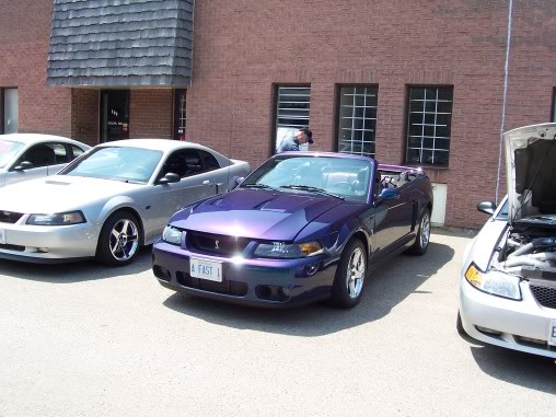 Name:  steeda055.jpg
Views: 49
Size:  49.8 KB