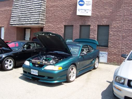 Name:  steeda053.jpg
Views: 61
Size:  60.9 KB