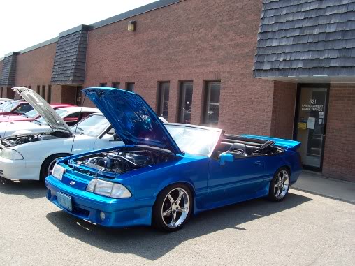 Name:  steeda063.jpg
Views: 75
Size:  52.4 KB