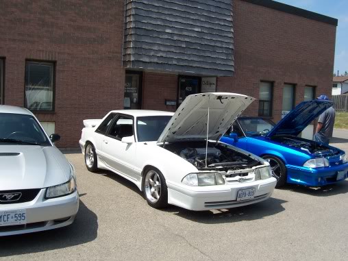 Name:  steeda062.jpg
Views: 55
Size:  48.0 KB