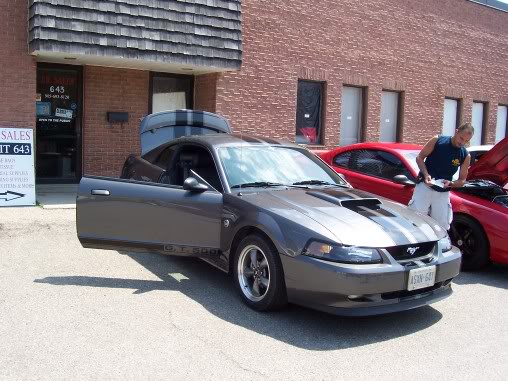 Name:  steeda061.jpg
Views: 59
Size:  56.2 KB