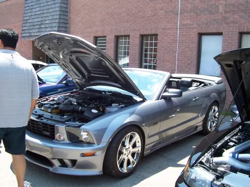 Name:  steeda073.jpg
Views: 54
Size:  56.1 KB