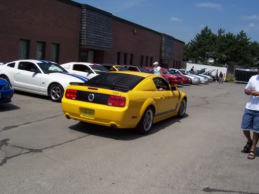 Name:  steeda072.jpg
Views: 54
Size:  41.0 KB