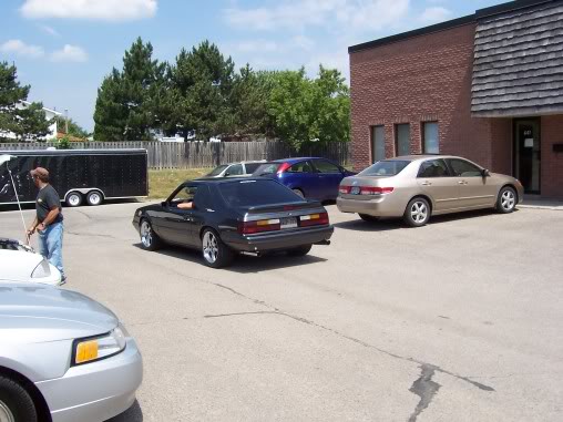 Name:  steeda070.jpg
Views: 61
Size:  45.2 KB