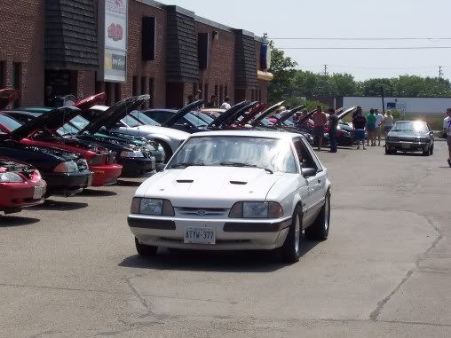 Name:  steeda068.jpg
Views: 53
Size:  42.8 KB