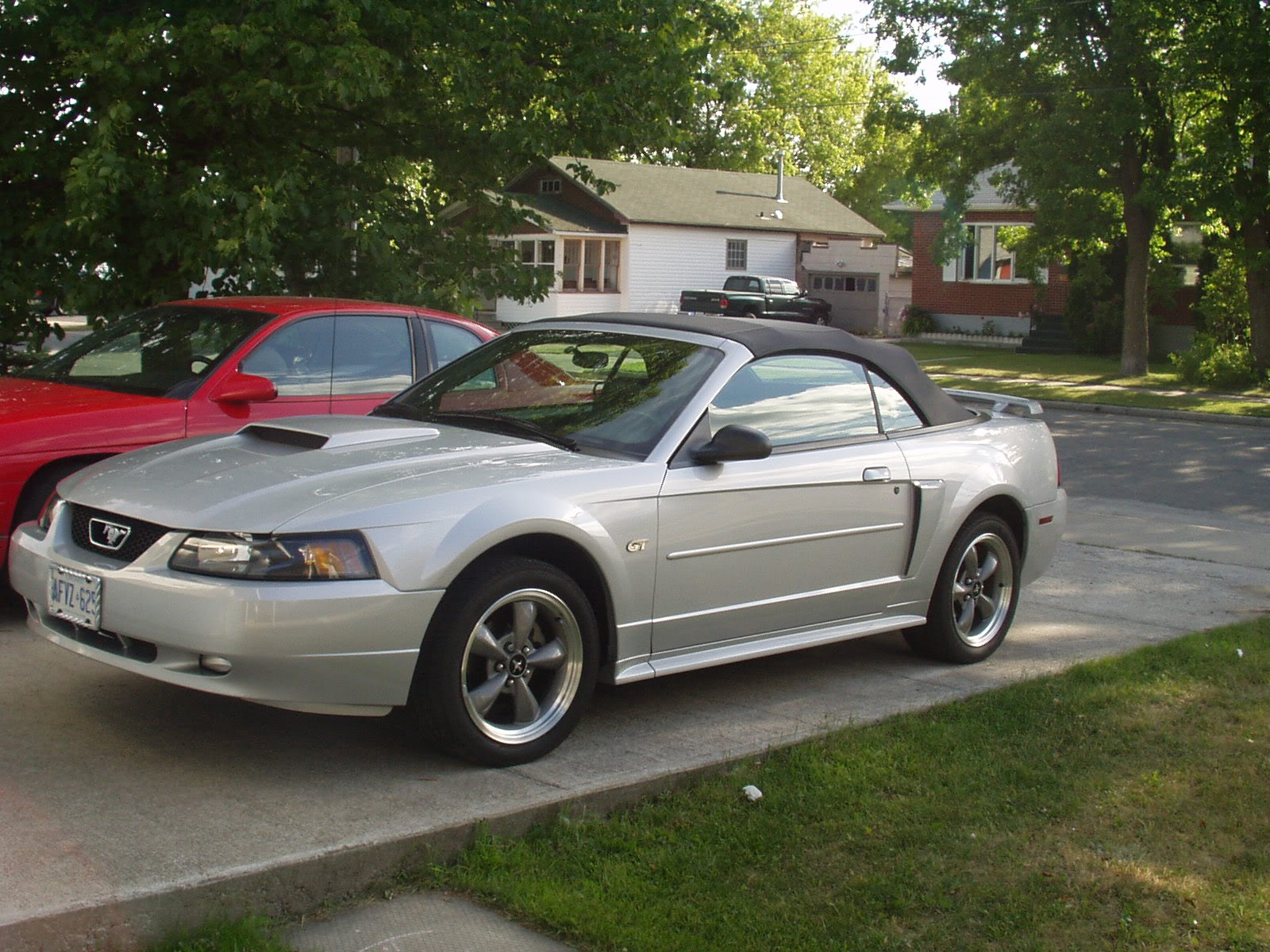 Name:  P1010014.jpg
Views: 82
Size:  328.2 KB