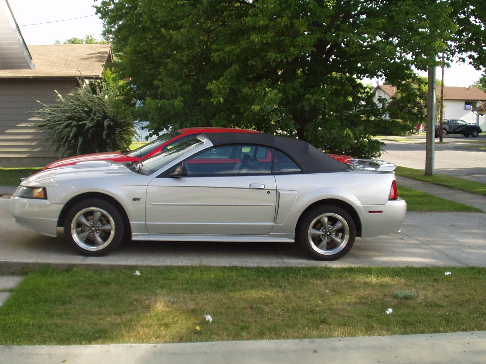 Name:  P1010012.jpg
Views: 65
Size:  292.5 KB