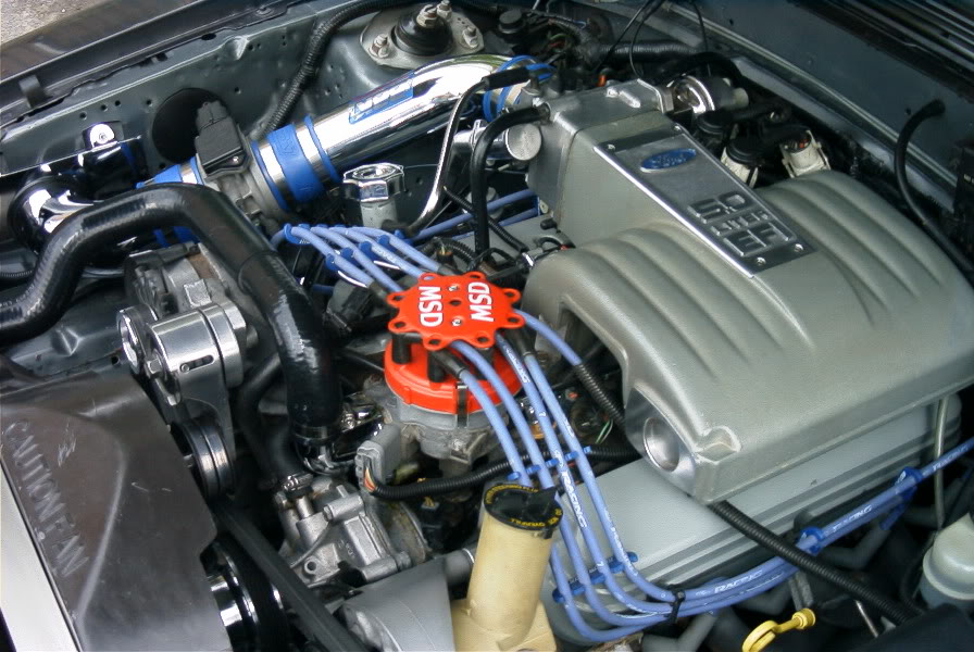 Name:  R0010022.jpg
Views: 111
Size:  118.0 KB