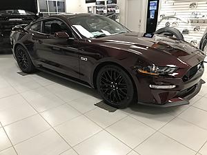 Royal Crimson-02c35e29-95e7-48a9-a31f-f4bce49367f8.jpeg