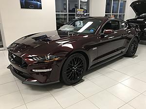 Royal Crimson-7590c883-de6c-4f8b-9c10-c44f5f358fac.jpeg