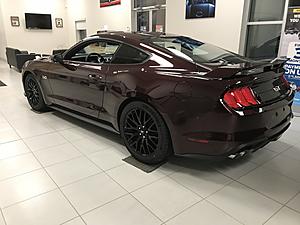 Royal Crimson-99755713-b75c-41fe-bc4e-3782fda2b783.jpeg