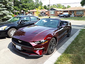 Royal Crimson vert photos-20180712_162958.jpg