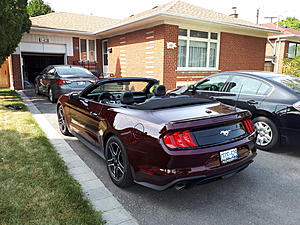 Royal Crimson vert photos-20180712_163017.jpg