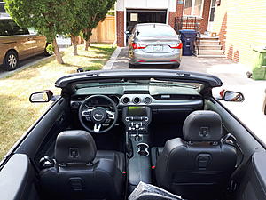 Royal Crimson vert photos-20180712_163030.jpg