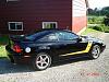 My stang-picture-054.jpg