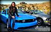 Mustang Photoshoot-bbcc8583.jpg