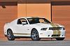 Shelby officially unveils 50th Anniversary Edition Shelby's-12-shelby-50th-anniv-mustangs.jpg