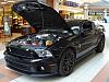 Mustangs-in-the-Mall-mustangs-mall-026.jpg